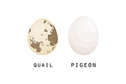 Different birds egg set, a Food Illustration by Good Studio (Thumbnail 2 of 5)