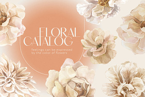 20% Floral Catalog Watercolor Bundle