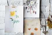 Perfect Products Lightroom Presets, an Action Add-On by I & M Lightroom Presets (Thumbnail 12 of 12)
