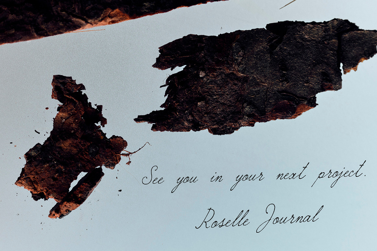 Roselle Journal | Script Font, a Script Font by Mneme (Photo 10 of 10)