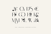 Sun Type Creative logo font, a Serif Font by VP Fonts (Thumbnail 10 of 18)