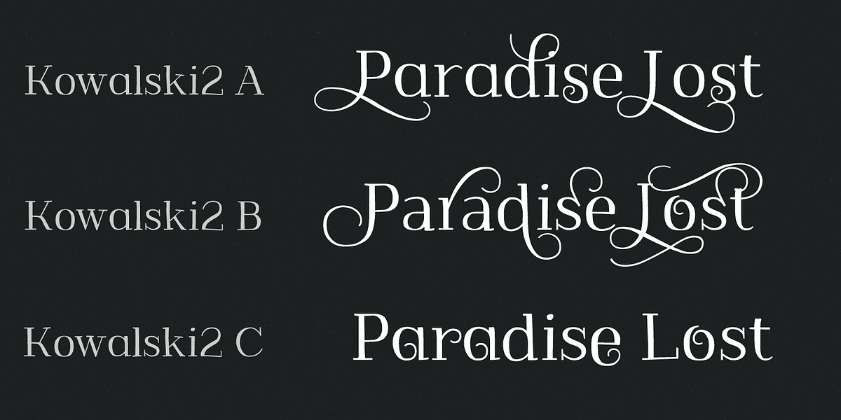 Kowalski2, a Handwritten Font by GRIN3 (Nowak) (Photo 5 of 6)