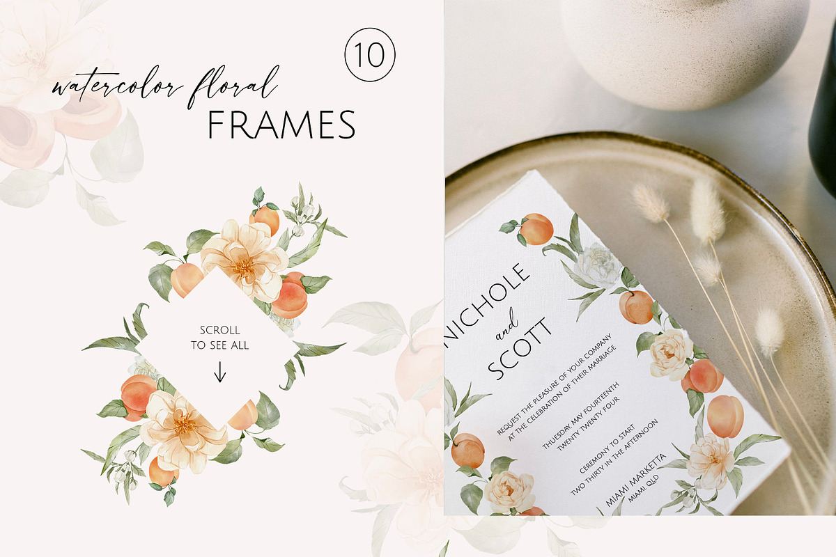 Apricots & Flowers watercolor summer, a Seasonal Illustration by Yuliia Lashevska (Photo 4 of 11)