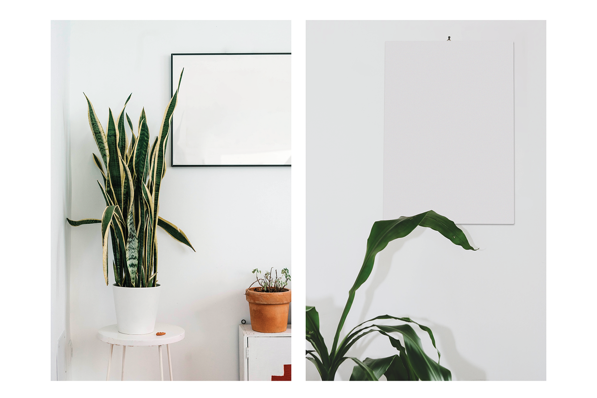 Frame Mockup Bundle - Calico, a Household Mockup by Saguaro Digital (Photo 3 of 15)
