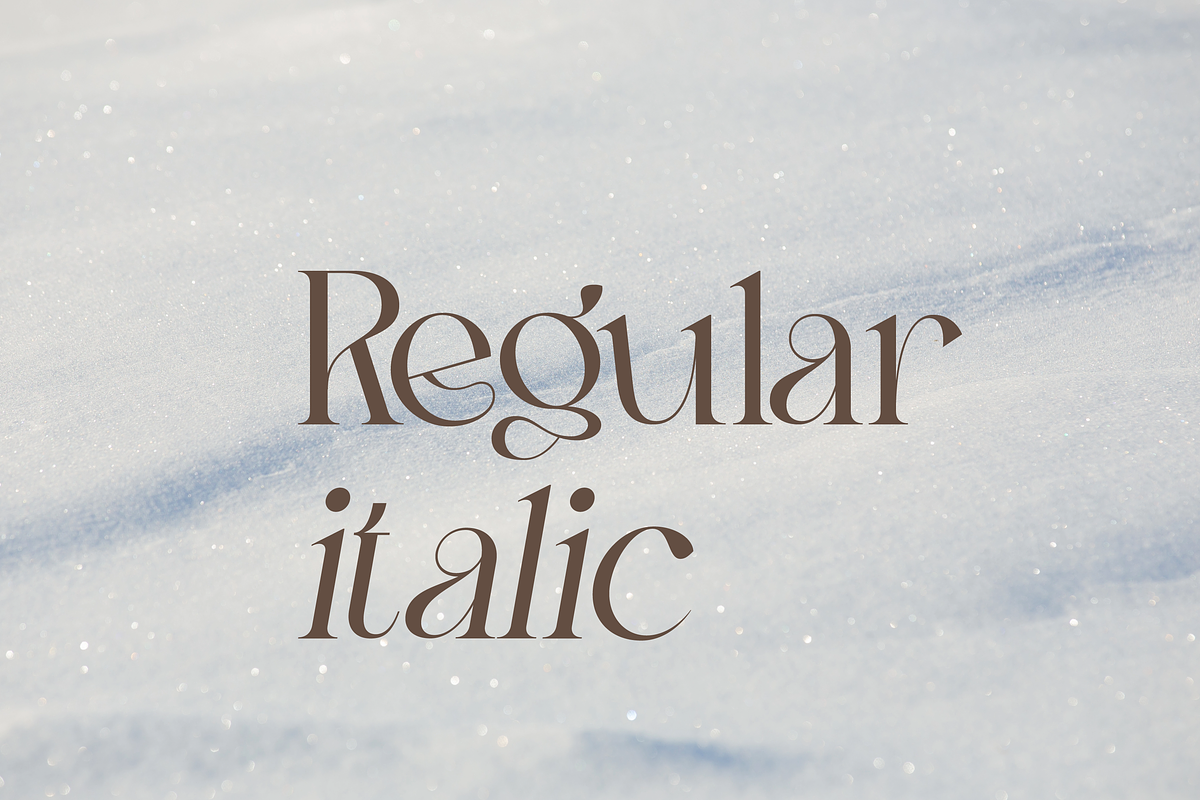 Ankadi Serif, a Serif Font by Creative Foundry (Photo 2 of 8)