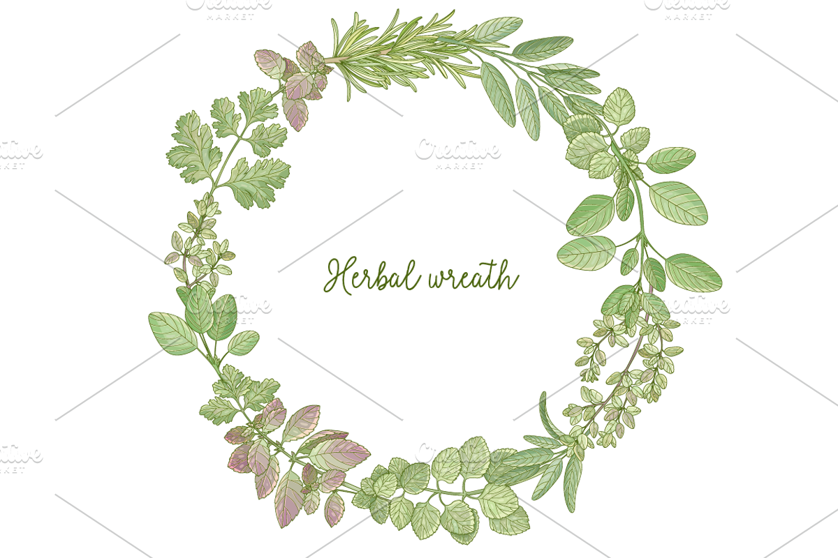 Kitchen herbs set, a Food Illustration by zmeizza (Photo 5 of 7)