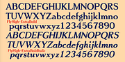 FlyHigh, a Slab Serif Font by Ingrimayne Type (Thumbnail 8 of 10)