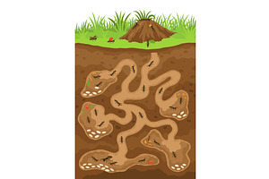 An anthill. Ants in burrows, an Animal Illustration by Things for designers