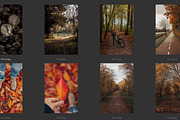 Cozy FALL Season (45 images), a Nature Photo by studiottander (Thumbnail 5 of 9)