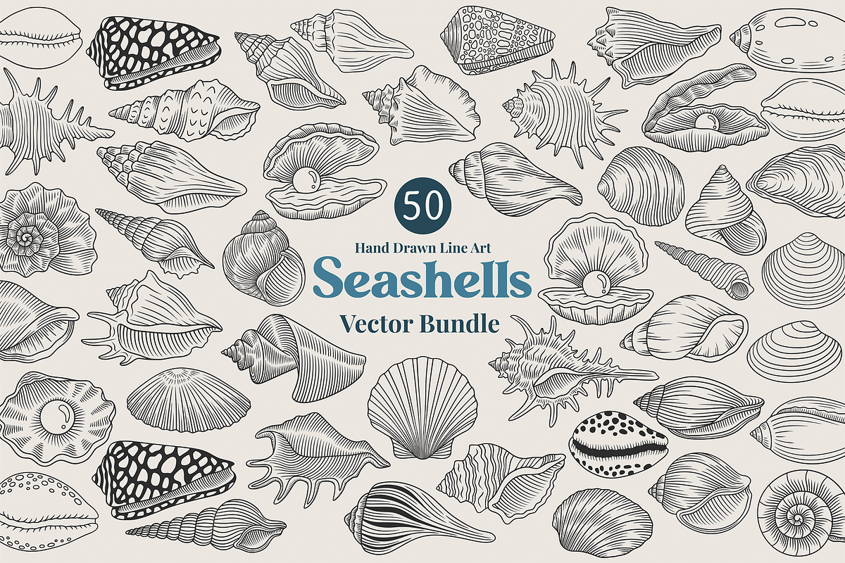 Seashell Coastal Vector Illustration, an Animal Illustration by Kusumaillustration (Photo 1 of 9)