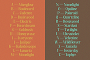 Rakizen Bisrony — Modern & Classic, a Serif Font by Enxyclo Studio (Thumbnail 14 of 23)