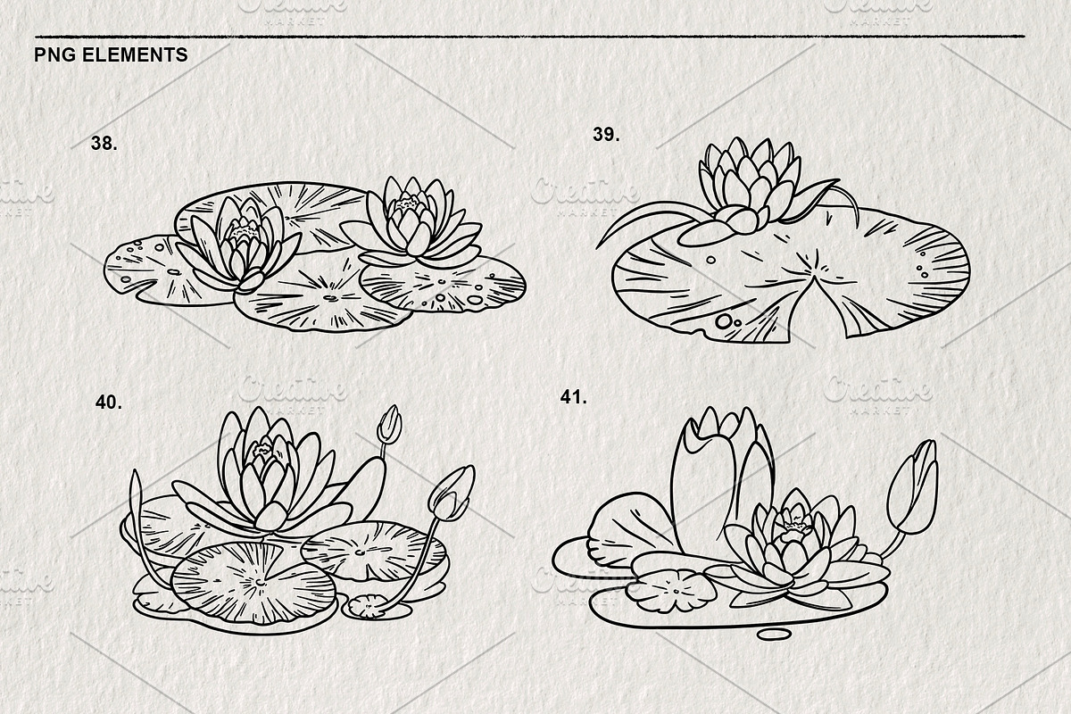 Set of water lilies and flowers PNG, a Decorative Illustration by LOKSKIH (Photo 10 of 10)