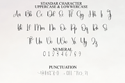 Beautiful Handwriting, a Handwritten Font by FreshTypeINK (Thumbnail 4 of 7)