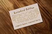 Renaissance Font & Graphics Set, a Handwritten Font by Liz Kohler Brown (Thumbnail 7 of 28)