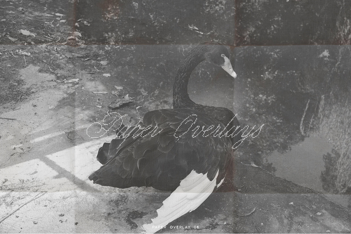 Handcrafted Paper Overlay Archive, a Texture Graphic by lerinartstudio (Photo 10 of 13)