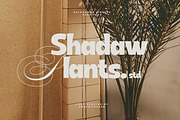 Haldenweg - Bold Retro Sans, a Sans Serif Font by Graphicfresh (Thumbnail 5 of 8)