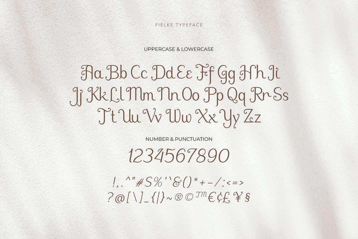 Fielke - Decorative Type, a Serif Font by ikiiko (Photo 5 of 7)