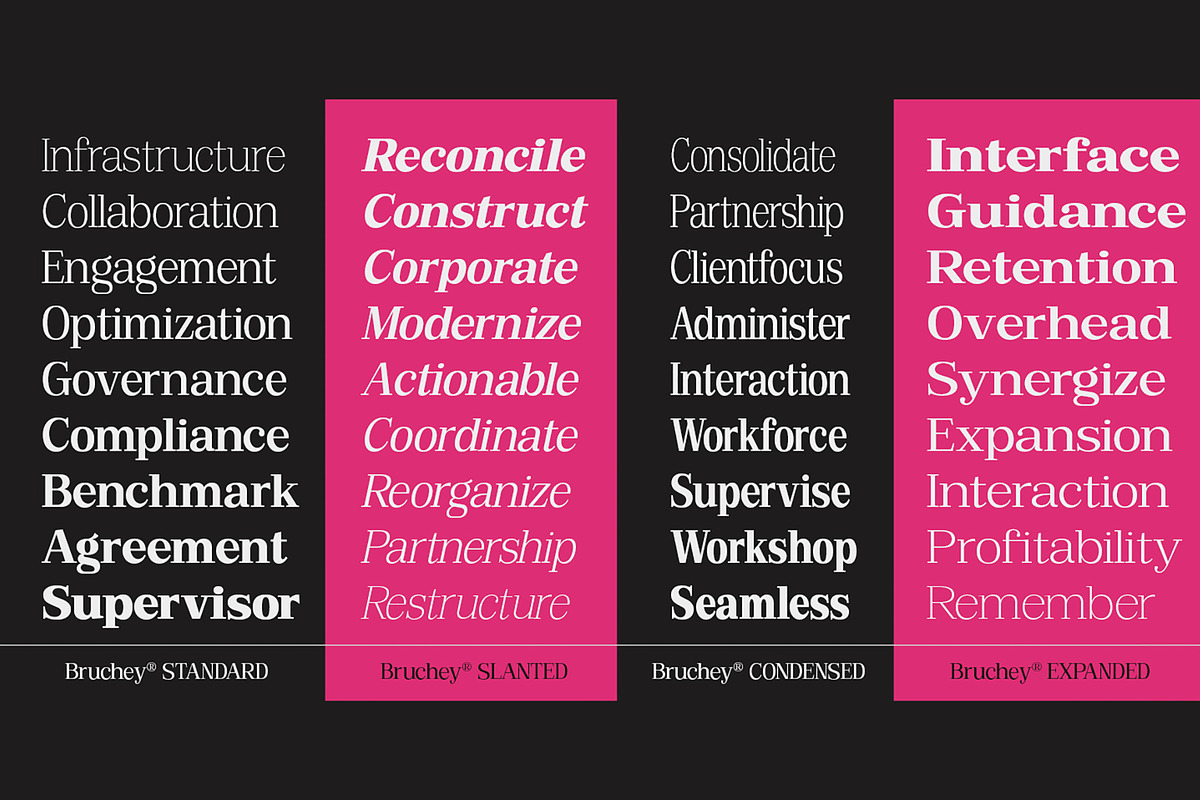Bruchey Serif, a Serif Font by Fargun Studio (Photo 6 of 15)