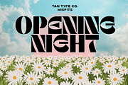 TAN - MISFITS, a Font by TanType (Thumbnail 7 of 15)