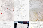 SALE Line Art Floral Graphic Bundle, a Graphic by Olya Creative (Thumbnail 3 of 23)