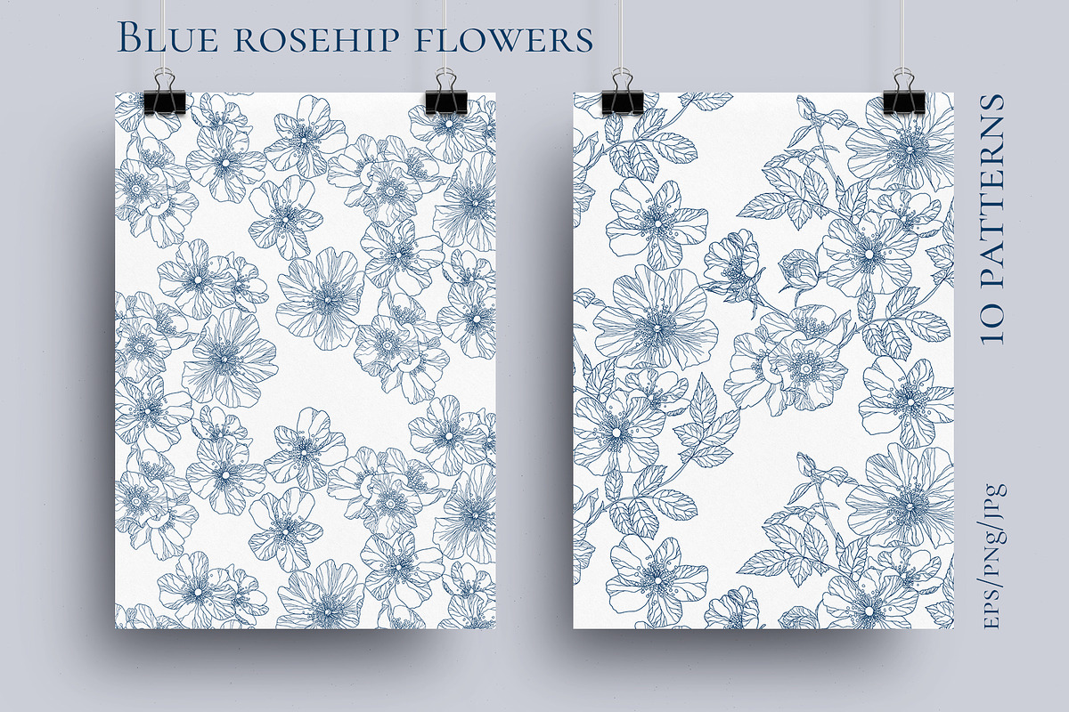 Blue rosehip flowers, a Decorative Illustration by LanaDzi (Photo 2 of 12)
