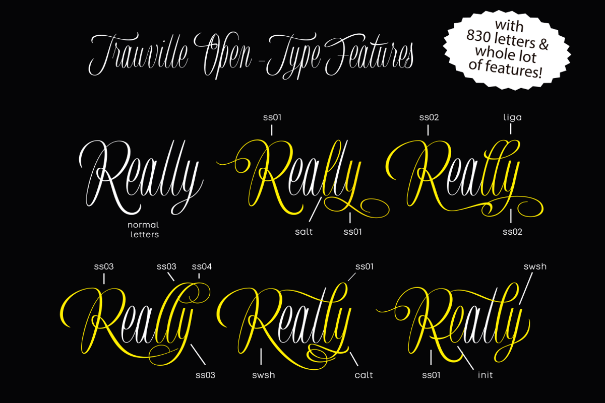 Trauville, a Script Font by Eurotypo (Photo 3 of 6)