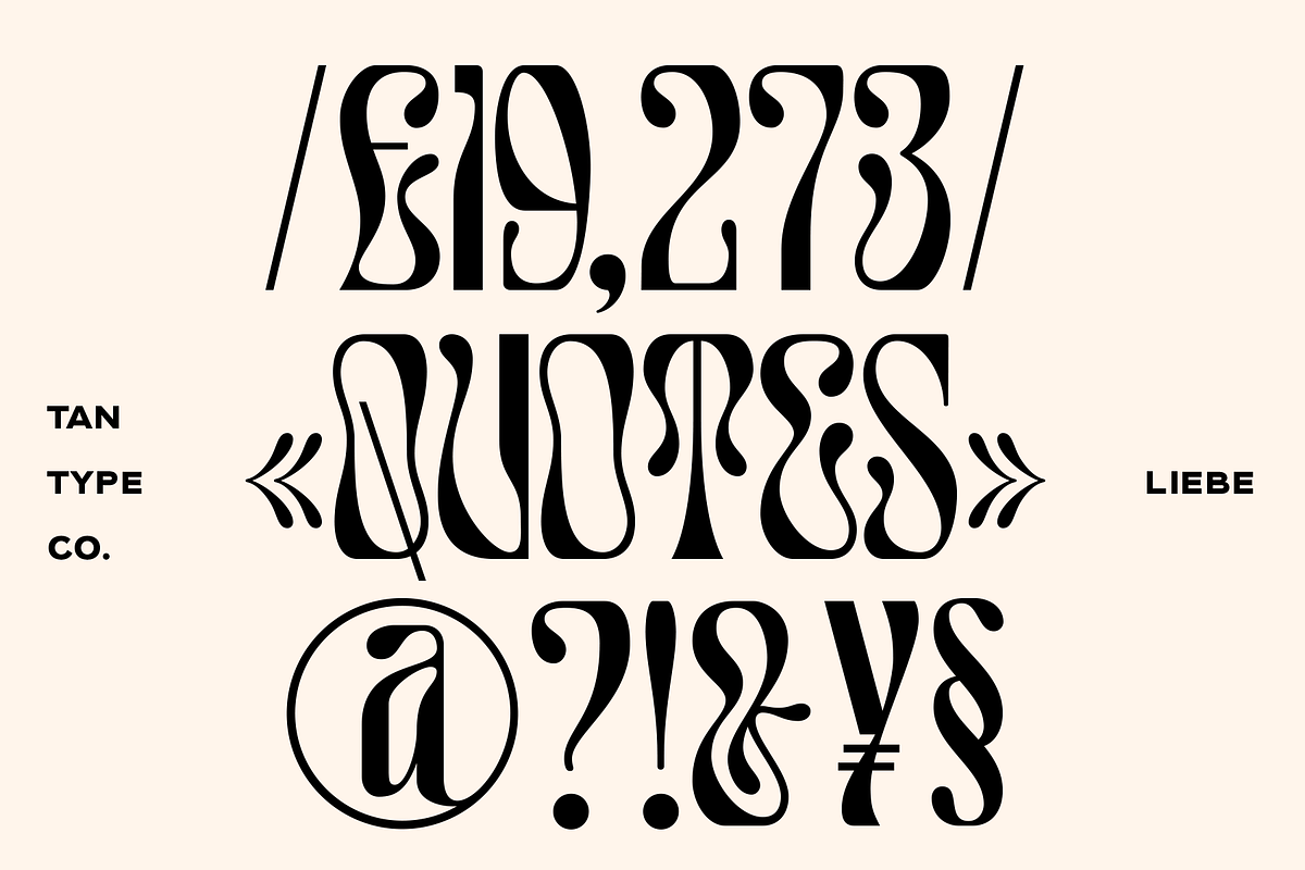 TAN - LIEBE, a Font by TanType (Photo 12 of 12)