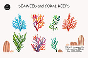 Algae & Coral Vector + Watercolor, an Object Illustration by IrenKlm (Thumbnail 2 of 4)