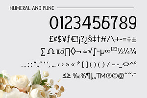 Evelina Serif Display Font