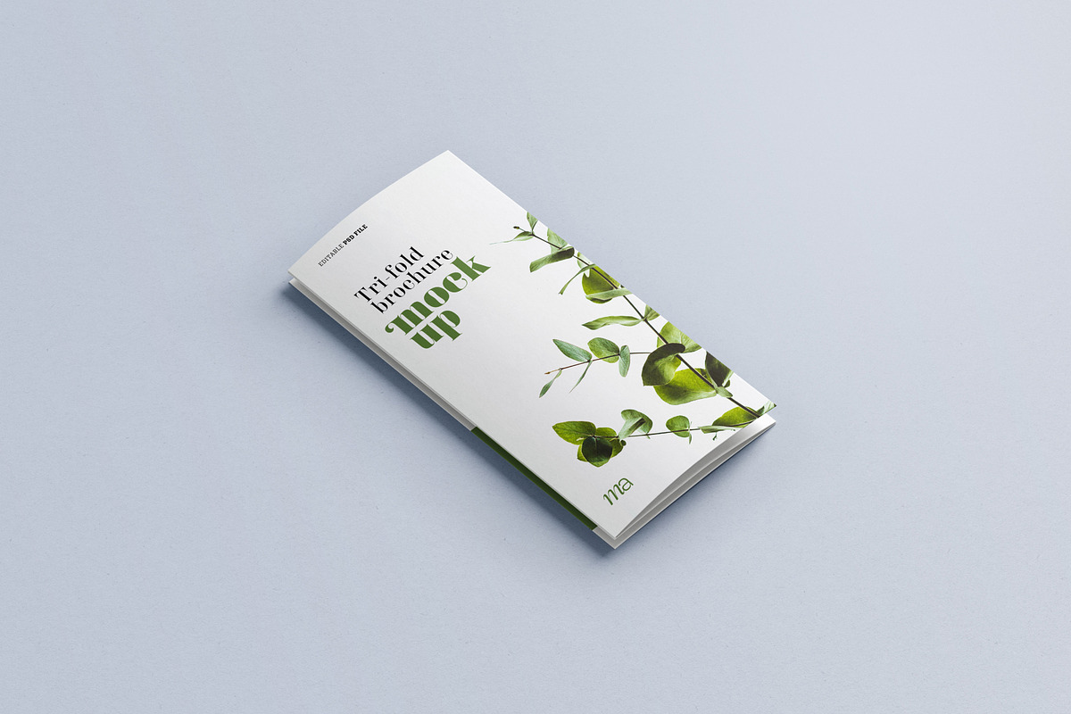 Trifold Brochure Mockup, a Print Template by mockupatelier (Photo 15 of 15)
