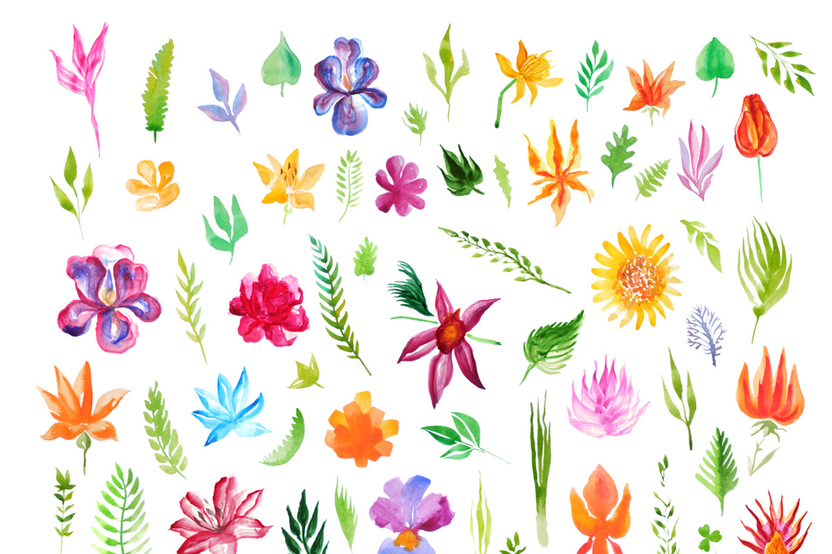 Watercolor Flowers And Leaves Set, an Illustration by KsanasK.Art (Photo 2 of 3)