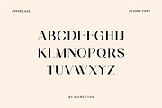 Aiguilette Luxury Serif Font, a Serif Font by UICreative (Thumbnail 9 of 12)