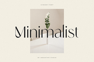 Ginger - Modern Stylish Font