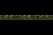 Jungle Forest 2D Background, a Background Graphic by AlexMstudio (Thumbnail 2 of 3)