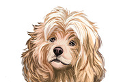 Dogs Cross Breeds 56 Animals Bundle, an Animal Illustration by Dneprstock (Thumbnail 12 of 55)