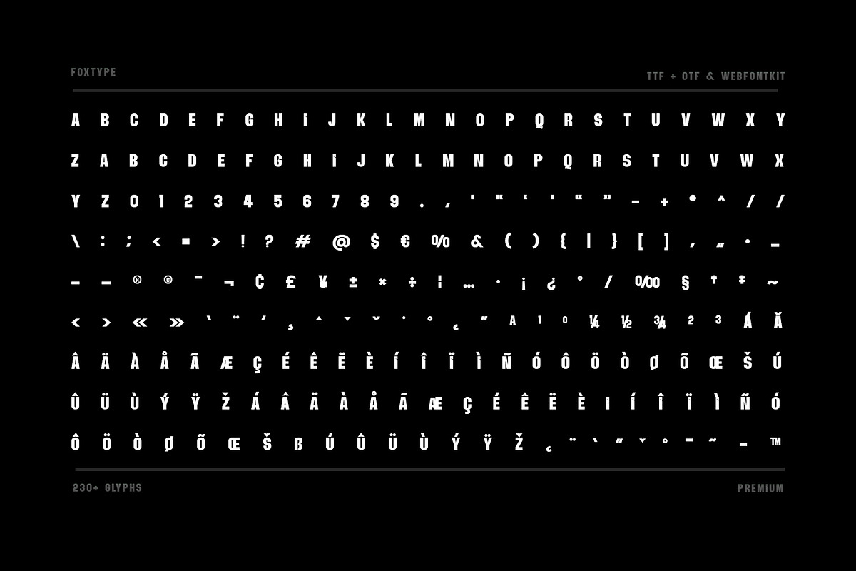 Quinn Display Typeface, a Sans Serif Font by Foxtype (Photo 9 of 9)