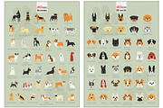 40 dog breeds vector illustration, an Illustration by faitotoro (Thumbnail 2 of 3)