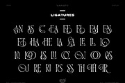 TAN - Variety, a Serif Font by TanType (Thumbnail 5 of 26)
