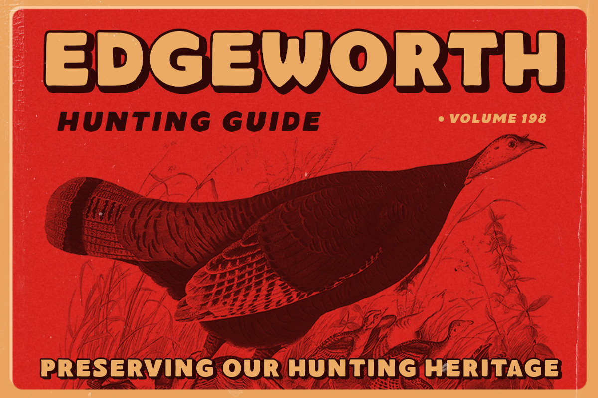 Saltburg - Organic Sans Serif, a Font by Letterhend Studio (Photo 2 of 6)