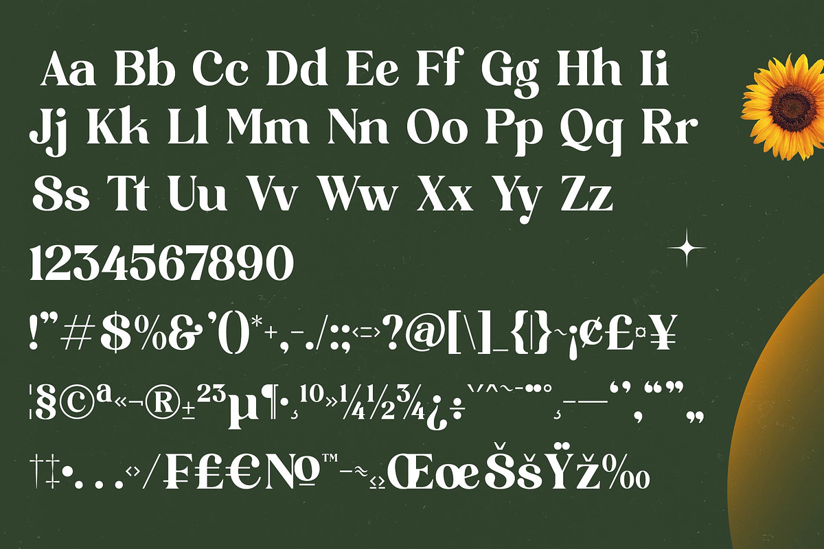 Shine Dailys Groovy Serif Font, a Serif Font by timelesstype.co (Photo 18 of 20)