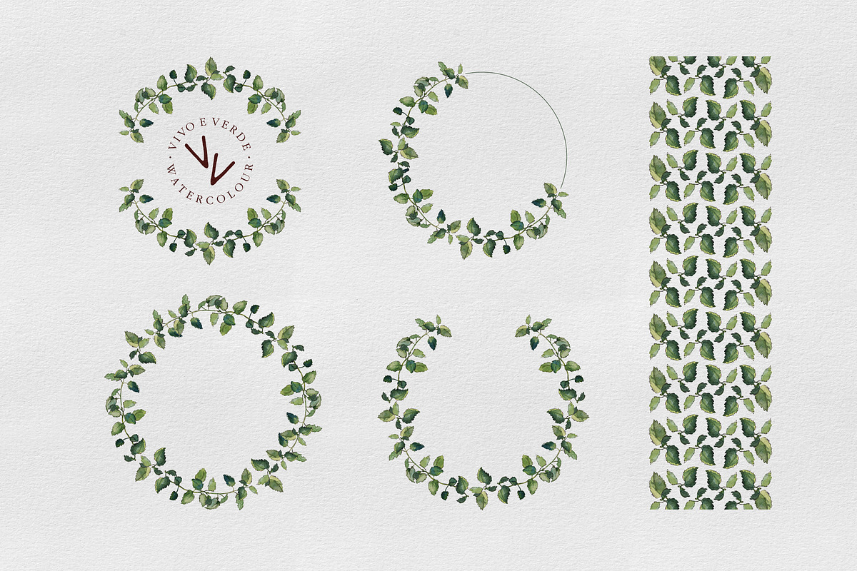Melissa: watercolor floral elements, an Illustration by vivo e verde (Photo 5 of 11)