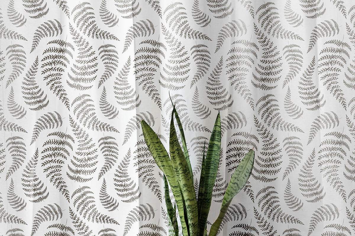 Fern. Line art sketch and patterns, a Decorative Illustration by Canatic (Photo 6 of 6)