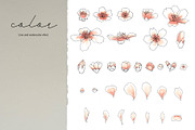 Almond Blossom, an Illustration by R.DesignStudio (Thumbnail 5 of 11)