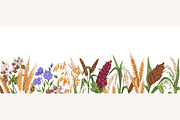 Cereal plants set + backgrounds, a Food Illustration by Good Studio (Thumbnail 3 of 6)