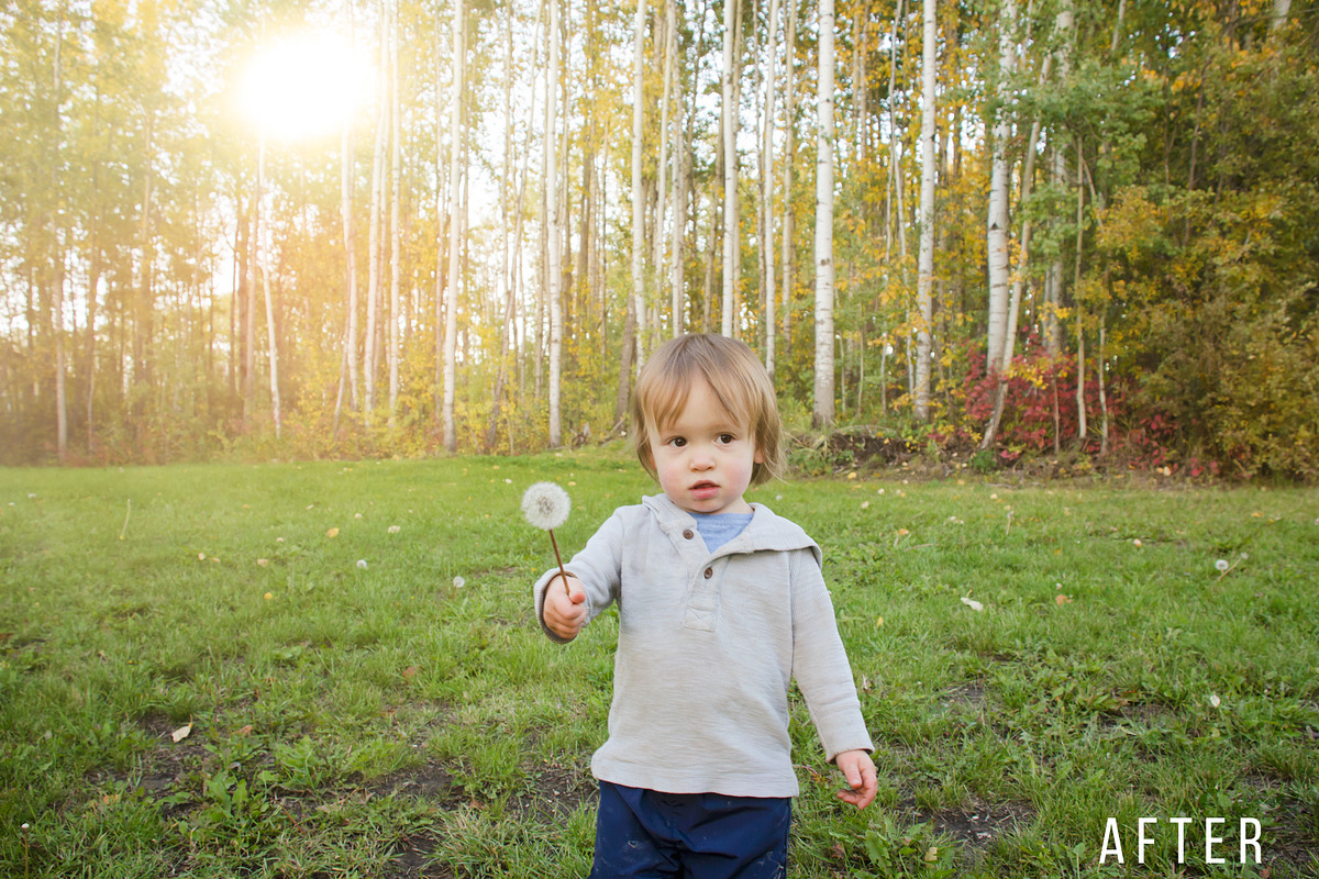 Sunshine Photography Overlays Vol. 1, a Layer Style Add-On by Ashley Alexandra Design (Photo 14 of 21)