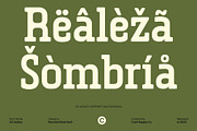 CS Ackley – Slab Serif Font, a Slab Serif Font by Craft Supply Co. (Thumbnail 5 of 8)