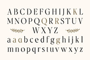 Le Saint Clair - Beauty Nostalgic, a Serif Font by Typia Nesia (Thumbnail 11 of 12)