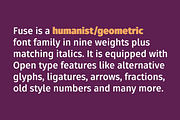 Fuse 85%OFF, a Font by W Type Foundry (Thumbnail 3 of 15)