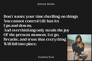 Cirelline, a Serif Font by Zaloma Studio (Thumbnail 10 of 19)