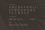 Paris Elegant Serif Font, a Serif Font by Perfectype (Thumbnail 7 of 8)